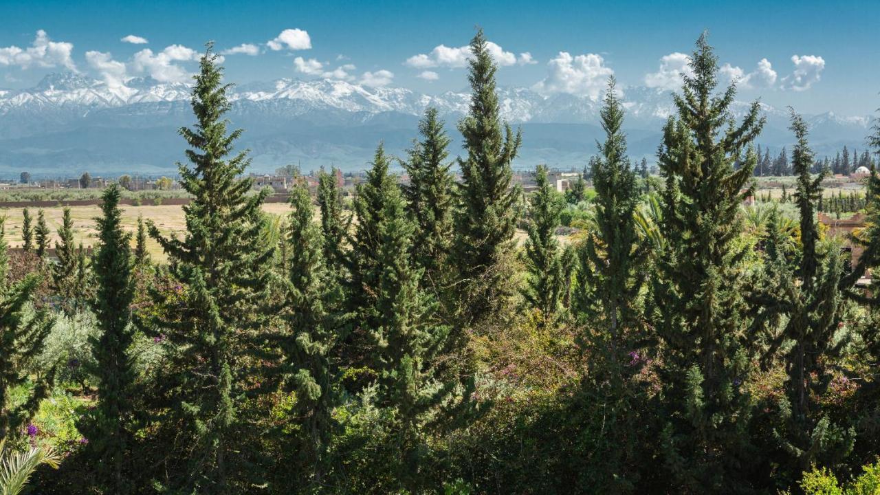 L'Oliveraie De L'Atlas Douar Caïd Layadi Exterior foto